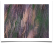 02_Patterns - William Rigby